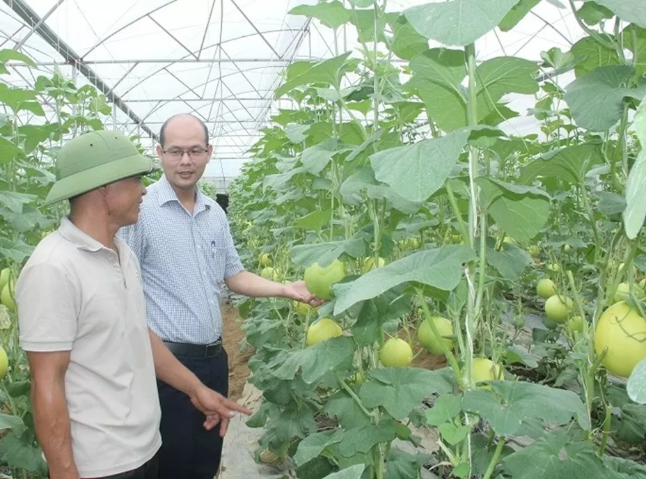 Thanh Hóa: Nhiều kết quả ấn tượng trong Chương trình xây dựng nông thôn mới nâng cao Thanh Hóa: Nhiều kết quả ấn tượng trong Chương trình xây dựng nông thôn mới nâng cao