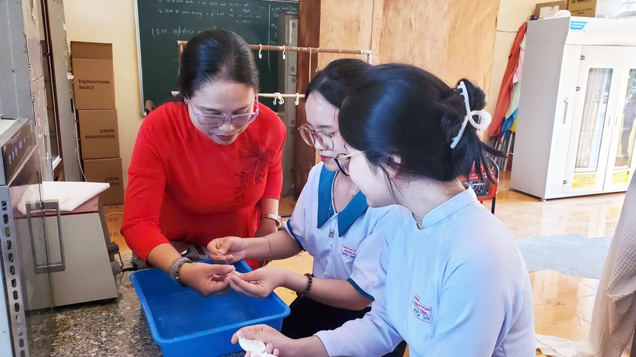 Nguyễn Thị Thanh Vy và Lư Mỹ Yến trong thời gian tập trung nghiên cứu, tận dụng những chiếc lá khóm.