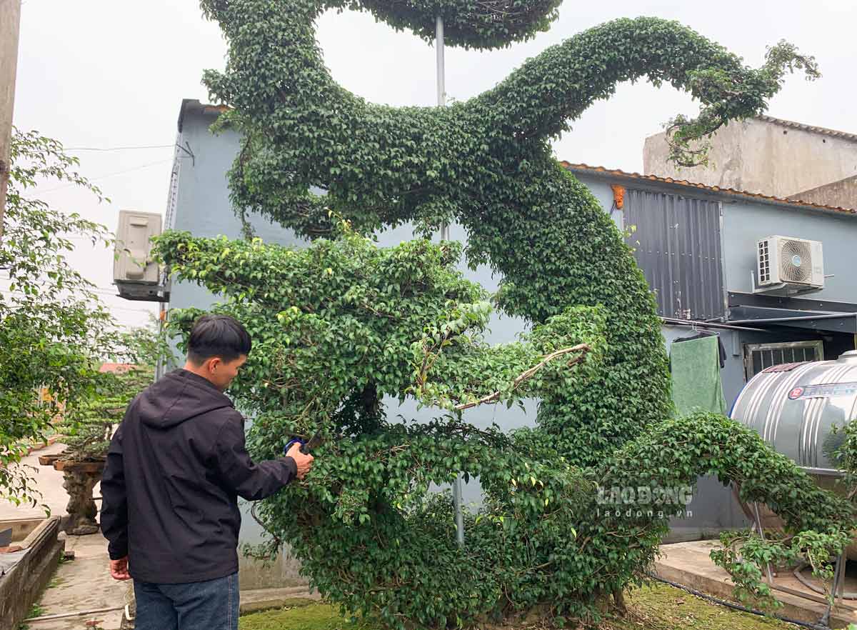 Tác phẩm hình con rồng được anh Ngọc làm trong vòng 10 năm và vẫn đang tiếp tục hoàn thiện. Ảnh: Hà Vi