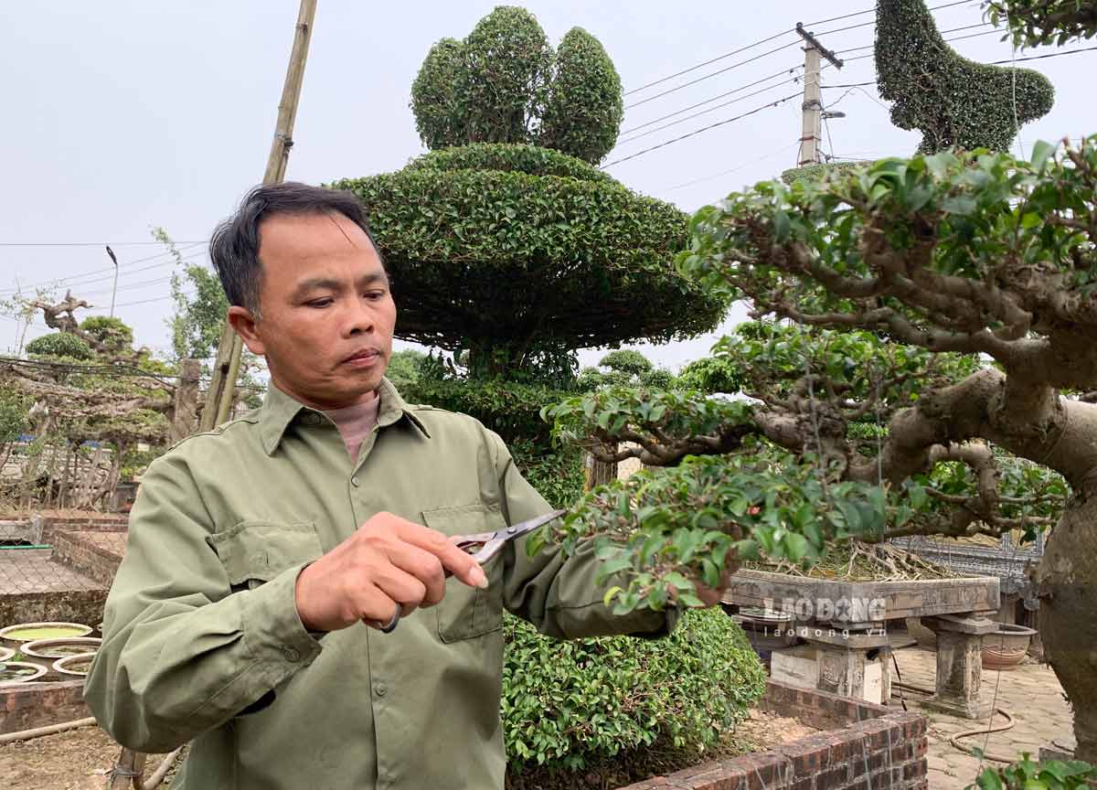 Ông Nguyễn Thanh Vân và những tác phẩm cây nghệ thuật do ông tự tay làm. Ảnh: Hà Vi