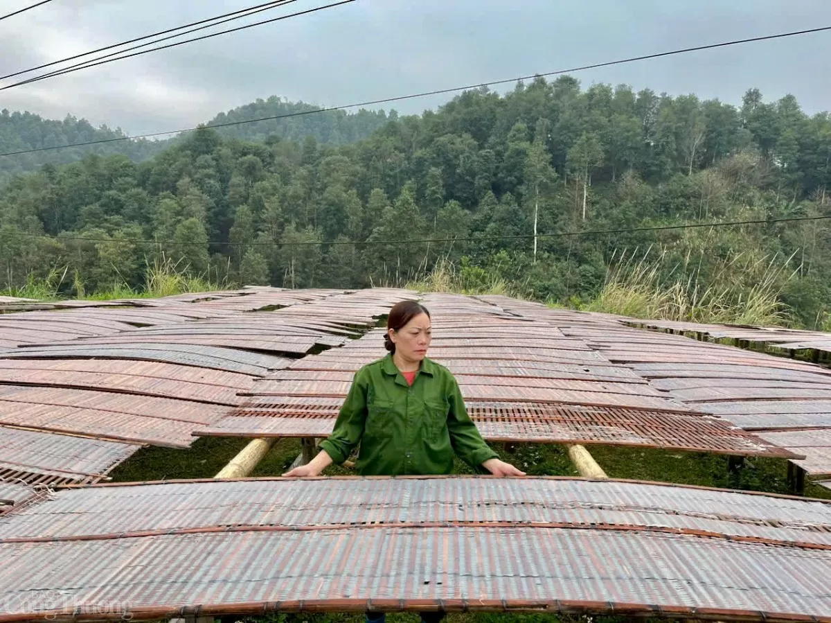 Xây dựng thương hiệu miến dong Bắc Kạn Xây dựng thương hiệu miến dong Bắc Kạn
