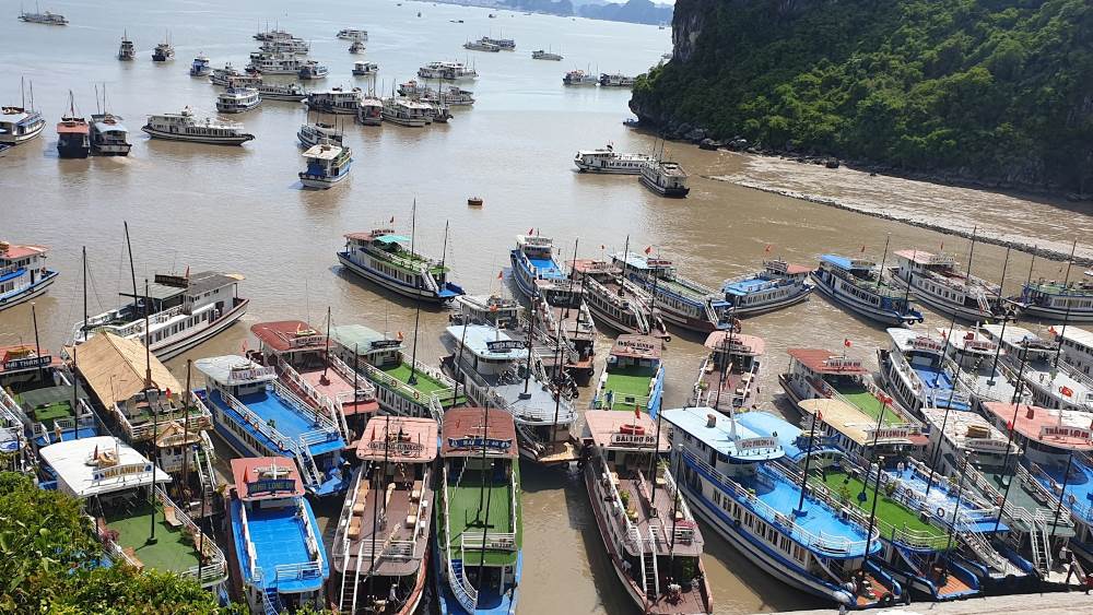 Tàu du lịch chen chúc nhau tại Thiên Cung - Đầu Gỗ khiến khu vực bến cảng đục ngàu. Ảnh: Nguyễn Hùng