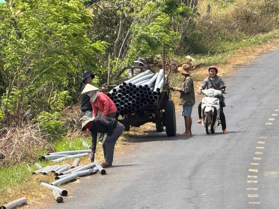 Người dân xã Đắk Lao hợp sức, góp tiền tỷ làm đường ống để tìm nước "cứu" cây cà phê. (Ảnh: T.T) dak-nong-dan-gop-tien-ty-tim-nuoc-cuu-ca-phe-3.jpg