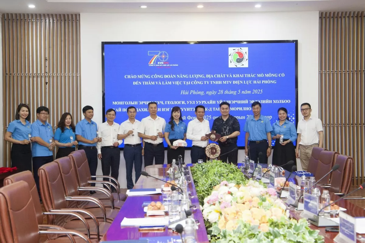 Công đoàn Năng lượng, Địa chất và khai thác Mỏ Mông Cổ thăm và làm việc tại Điện lực Hải Phòng