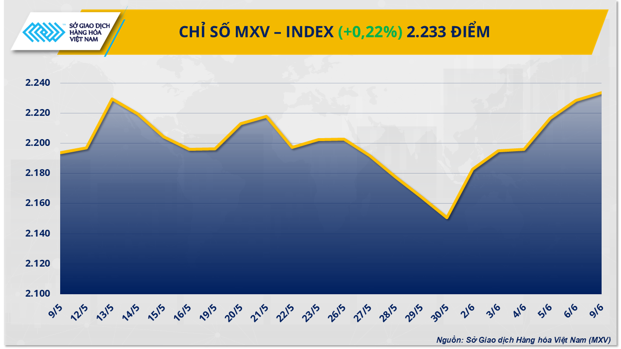 mxv-index.png