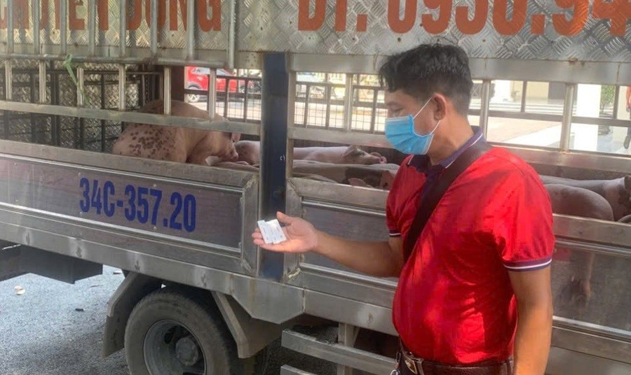 2/3 mẫu xét nghiệm dương tính với virus dịch tả lợn Châu Phi. Ảnh: Công an tỉnh Phú Thọ