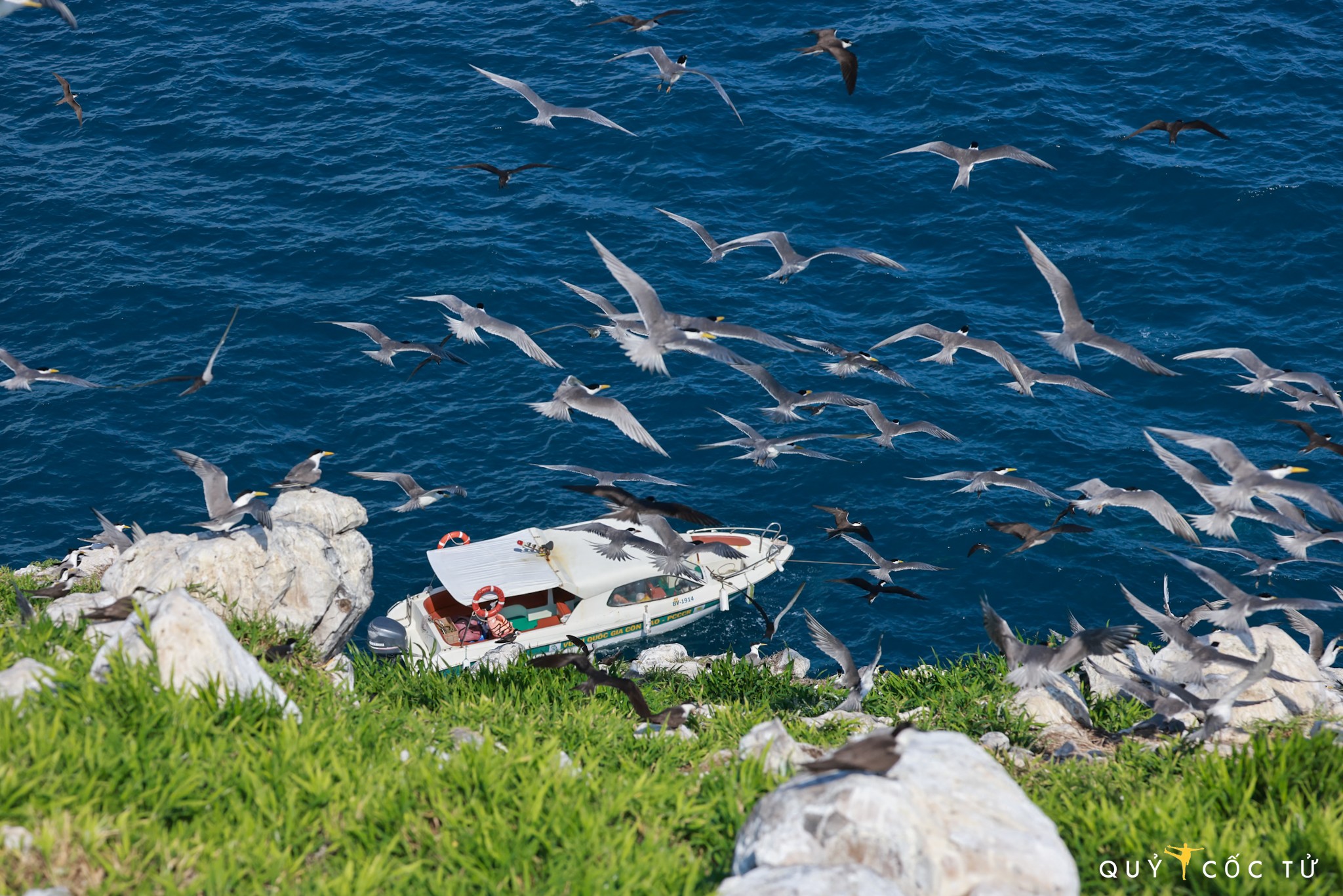 Hòn Trứng nằm trong Vườn quốc gia Côn Đảo, là một vùng “cấm địa” đối với du khách tuy nhiên lại là thiên đường của các loài chim. Ngô Trần Hải An là một nhiếp ảnh gia hiếm hoi mới đây được đặt chân lên Hòn Trứng thực hiện bộ ảnh về thiên nhiên nơi này với sự đồng hành của các cán bộ vườn quốc gia. Quá trình di chuyển và chụp hình của anh đều có sự giám sát vì mọi hoạt động trên đảo phải tuân thủ nghiêm ngặt quy định bảo tồn.