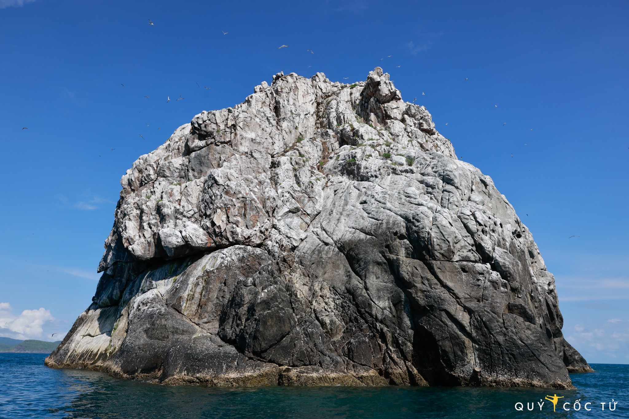 Nằm cách đảo Côn Sơn khoảng 20 km, diện tích chưa đến 2 ha, Hòn Trứng nhìn từ xa có hình dáng giống quả trứng với vẻ đơn sơ chỉ đá và chim, không cây cối lớn. Tuy vậy, ẩn chứa ở hòn đảo nhỏ bé này lại là một “sân chim” có mật độ sinh sản tự nhiên cao nhất Việt Nam.