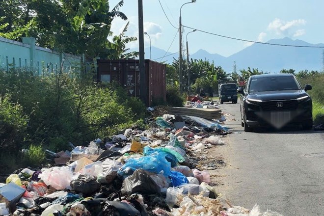 Rác tràn ra đường, phường ở Đà Nẵng dự tính lắp camera để giám sát