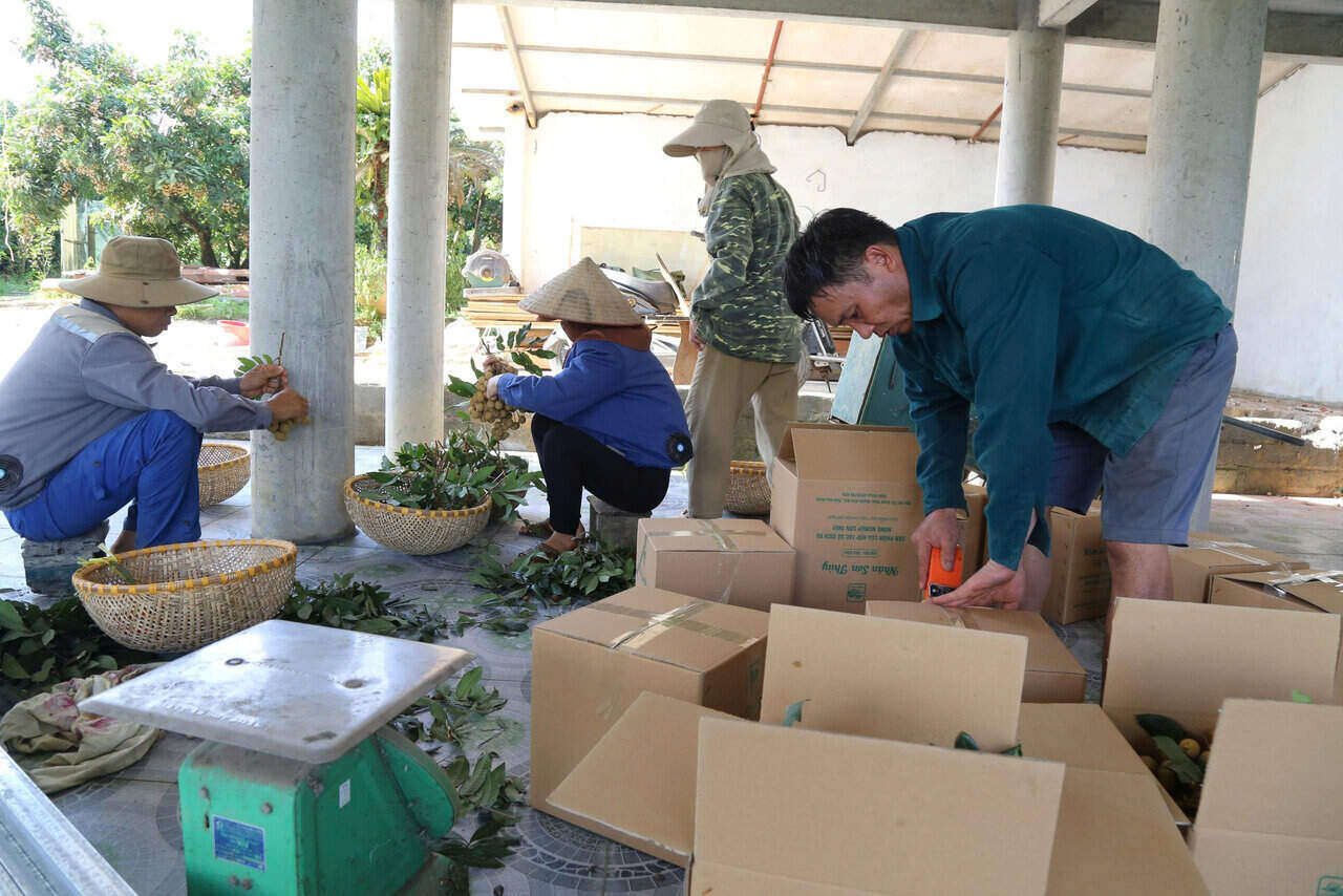 Người dân xóm Khoang đóng nhãn vào thùng để gửi nhãn cho khách ở xa. Ảnh: Bình Khang