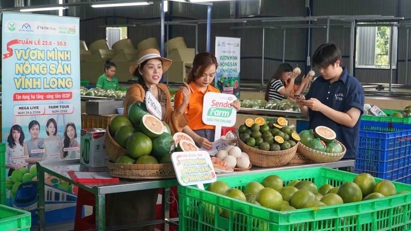Ứng dụng thương mại điện tử  trong tiêu thụ nông sản OCOP đã tạo nên mô hình xúc tiến thương mại hiệu quả, mở ra cơ hội quảng bá đặc sản địa phương đến gần hơn với người tiêu dùng.