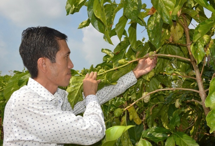 Anh Khưu Văn Chương, chủ thể sản phẩm OCOP nước cốt trái nhàu 4 sao tỉnh Cà Mau. Ảnh: NVCC