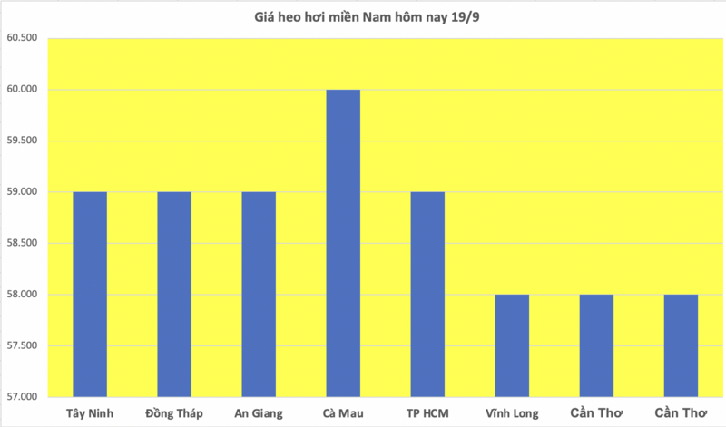 Giá heo hơi hôm nay 19/9/2025: Giảm nhẹ ở miền Bắc và miền Nam - 3