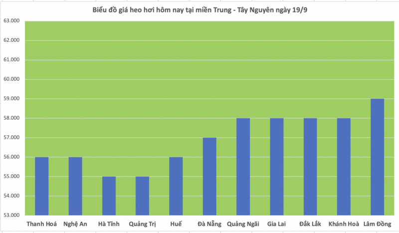 Giá heo hơi hôm nay 19/9/2025: Giảm nhẹ ở miền Bắc và miền Nam - 2
