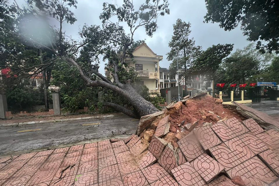 Bão Bualoi gây thiệt hại lớn về người và tài sản. bao-bualoi-thiet-hai.jpg