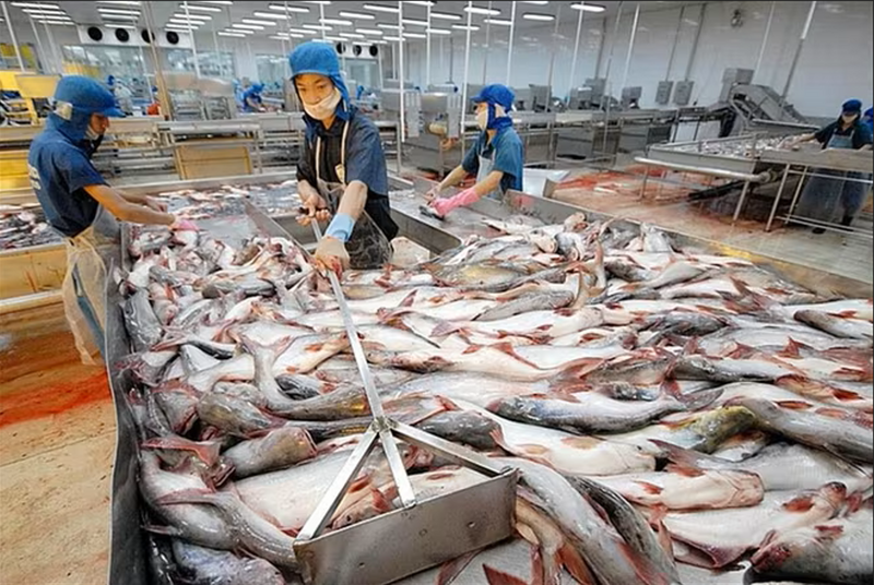 Cá tra là mặt hàng xuất khẩu quan trọng của Việt Nam sang Mexico.