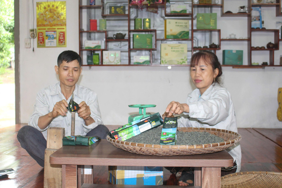 Quy trình sản xuất đóng gói chè được làm khép kín.