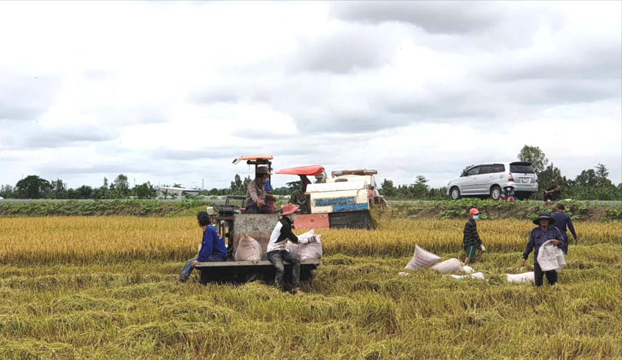 Chương trình chuyển đổi