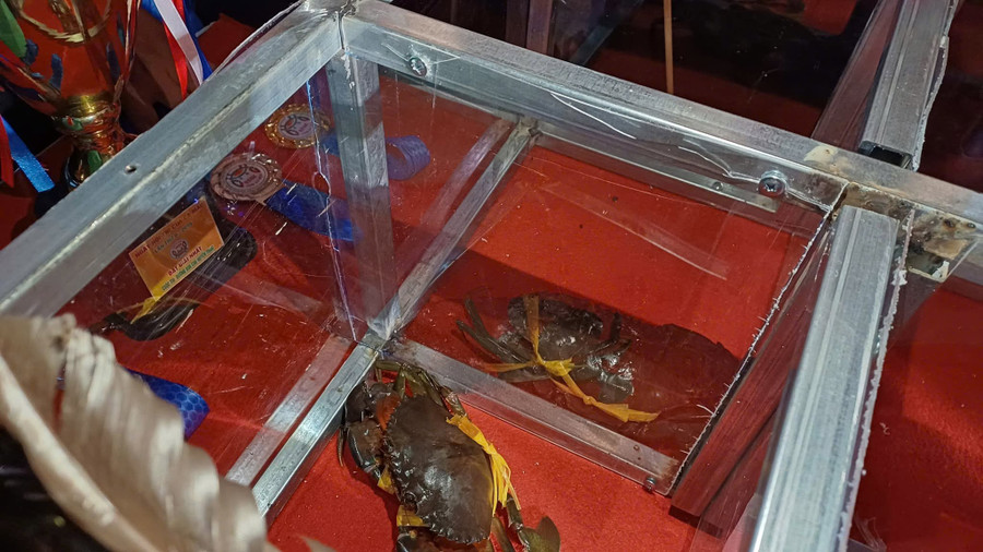 Hai "Cua thủ" tranh tài trên đường đua. 582100259-1331991111992263-4525689349158250982-n.jpg