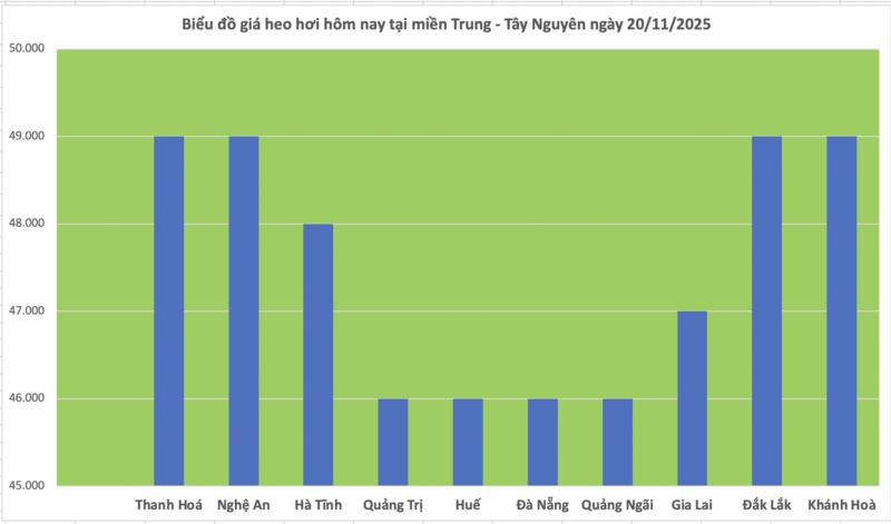 Giá heo hơi hôm nay 20/11/2025: Tiếp đà tăng giá - 2
