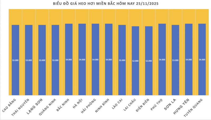 Giá heo hơi hôm nay 25/11/2025: Đồng loạt tăng  - 1