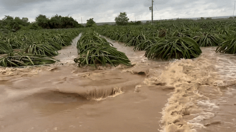 Nhiều nơi tại Lâm Đồng ngập do mưa lớn.