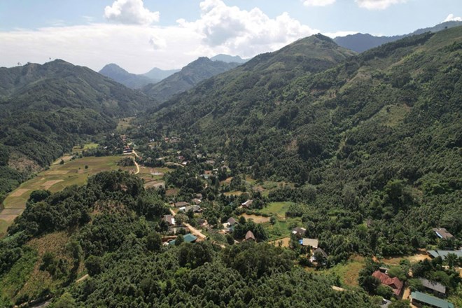 Từ rừng quế xanh, một vùng nghèo đứng dậy