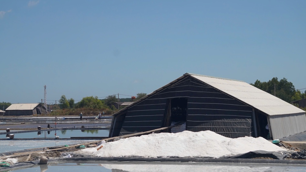 Những hạt muối trắng ngần được kết tinh từ nước biển và mồ hôi công sức của người lao động. Ảnh: Thái Bảo