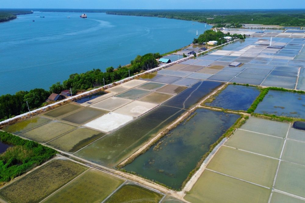 Nằm lọt thỏm giữa rừng ngập mặn Cần Giờ, ấp đảo Thiềng Liềng hiện ra như một ốc đảo bình yên, tách biệt hoàn toàn với khói bụi đô thị. Ảnh: Anh Tú