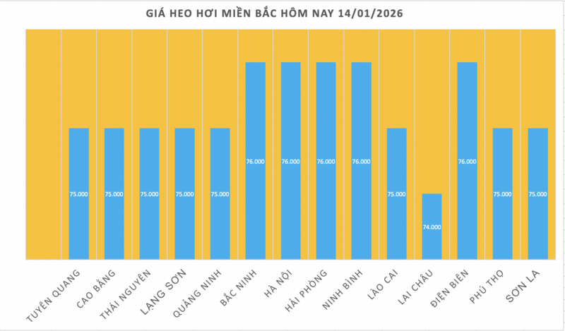 Giá heo hơi hôm nay 14/1/2026: Miền Bắc lập đỉnh mới 76.000 đồng/kg - 1