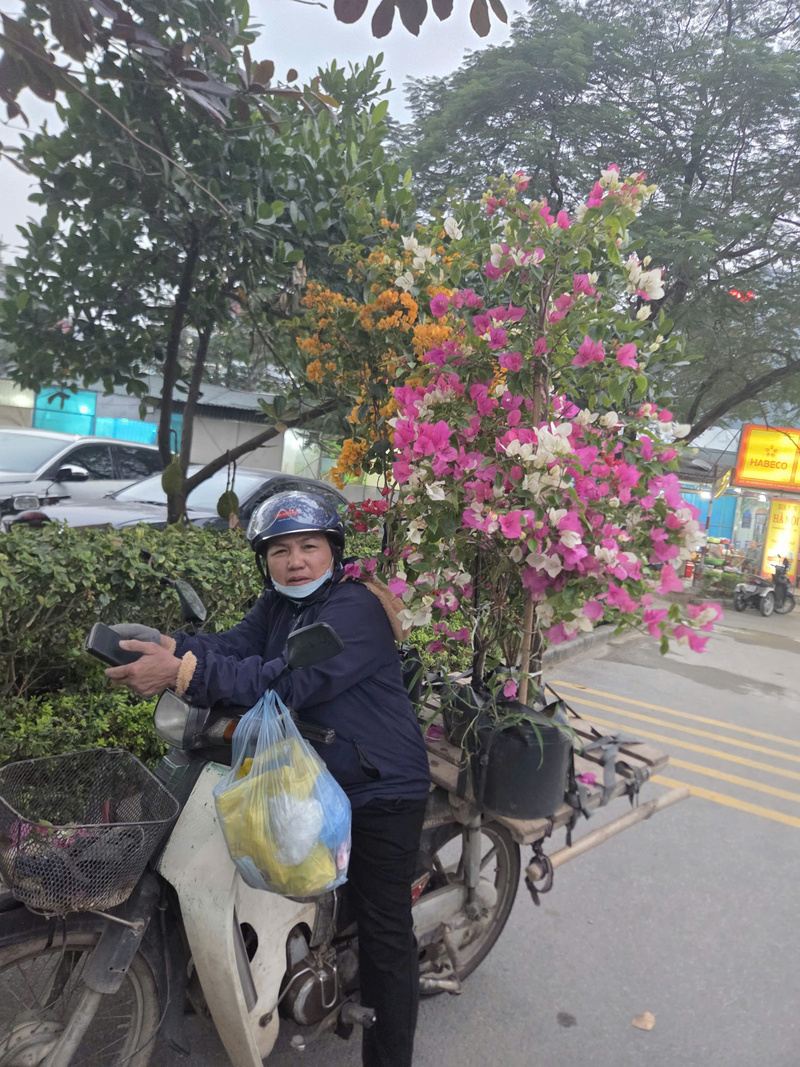 Chị Bùi Thị Xuân ở xã Phù Đổng, Hà Nội trở hoa giấy đến cổng một khu chung cư trên đường Hoàng Quốc Việt để bán.