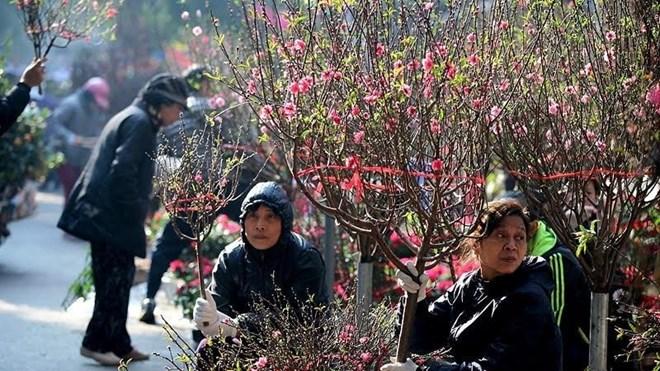 Dự báo thời tiết Tết Nguyên đán Bính Ngọ 2026 trên cả nước