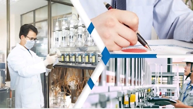 Chính sách đặc biệt nhằm thu hút nhân tài trong lĩnh vực chuyển đổi số