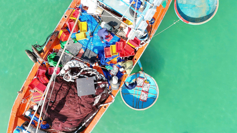 Ngư dân Đinh Văn Thành, ở đặc khu Lý Sơn cho biết, tàu của anh có 14 thuyền viên, xuất bến từ 15 giờ hôm trước, đánh bắt ở vùng biển Quảng Ngãi. Đến sáng sớm hôm sau cập bờ với hơn 8 tấn cá cơm. Với giá bán tại cảng từ 21 - 25 nghìn đồng/kg tùy loại, mang về gần 200 triệu đồng. Ảnh: Nguyễn Dương