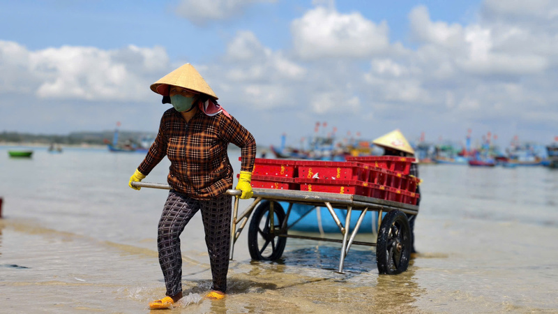 Cá được xếp vào từng khay nhựa rồi chuyển lên xe đẩy vào bờ. Ảnh: Nguyễn Dương