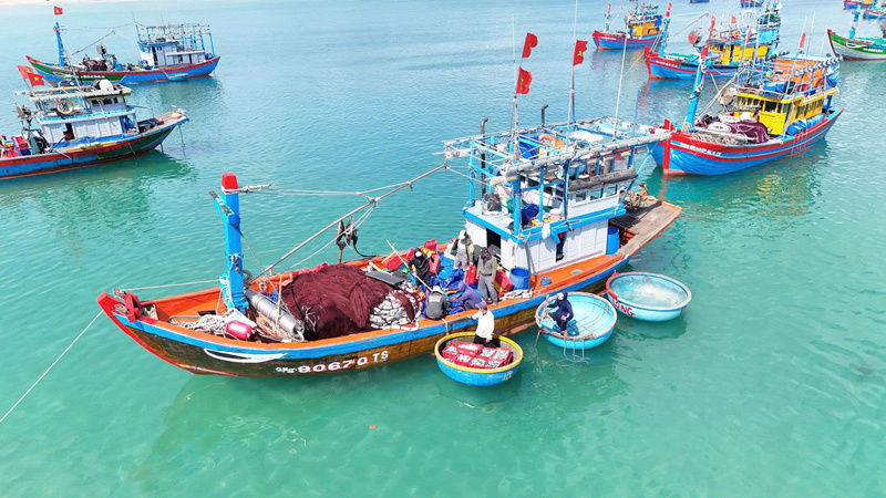 Những chuyến tàu đầy ắp cá nục liên tục cập bến thôn Châu Thuận Biển. Ảnh: Nguyễn Dương