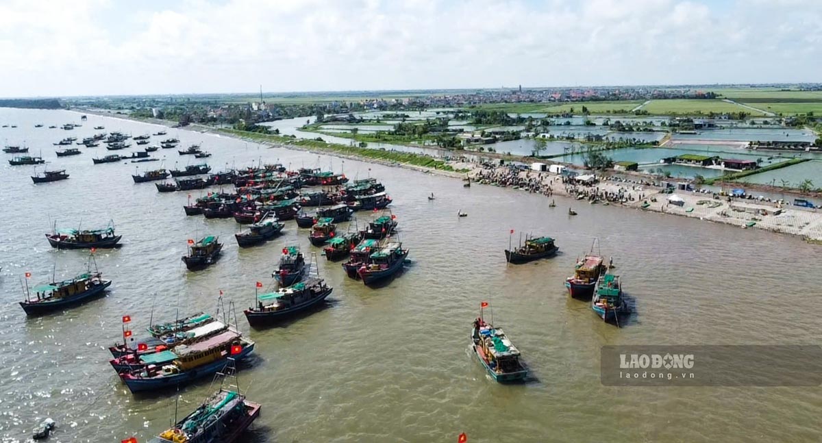 Khu vực bến cá Giao Hải, xã Giao Phúc, tỉnh Ninh Bình. Ảnh: Lương Hà