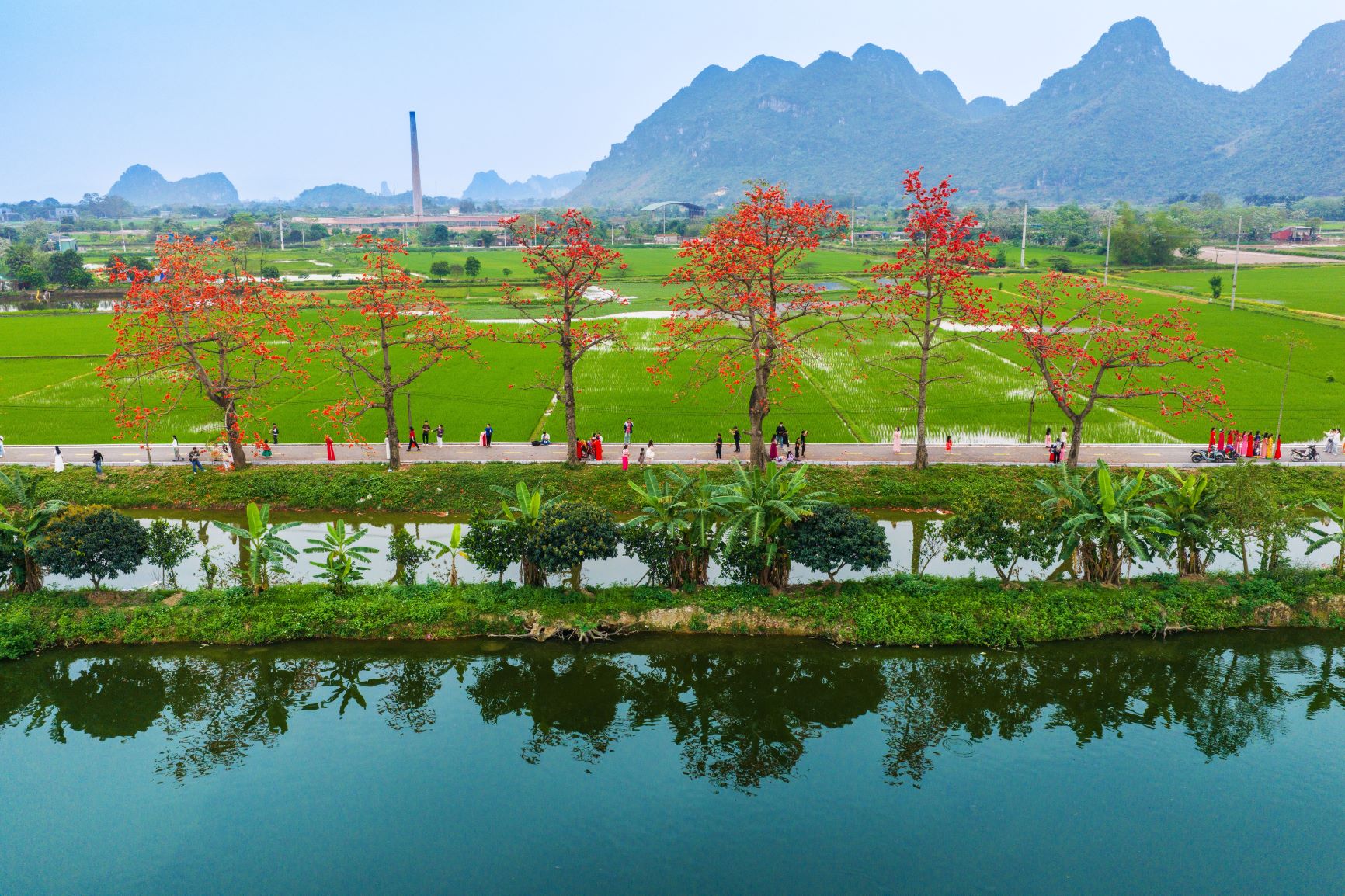 Thôn hiện có hàng cây gạo với 20 gốc cổ thụ đang nở rộ, hai bên con đường là hệ thống ruộng lúa và kênh thủy lợi.