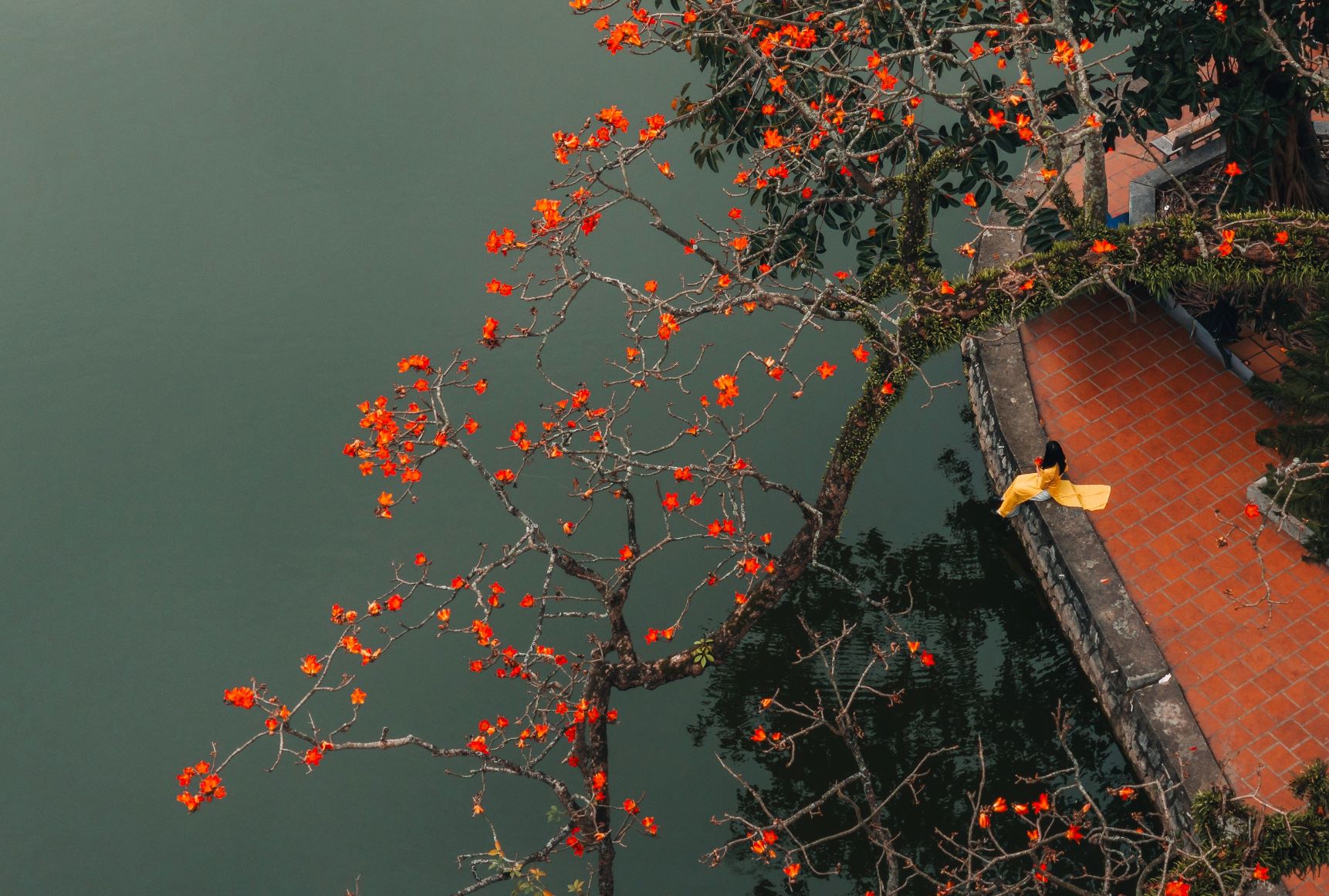 Hoa gạo không chỉ phủ kín sân chùa Cả mà còn soi bóng xuống mặt hồ Long Trì yên ả.