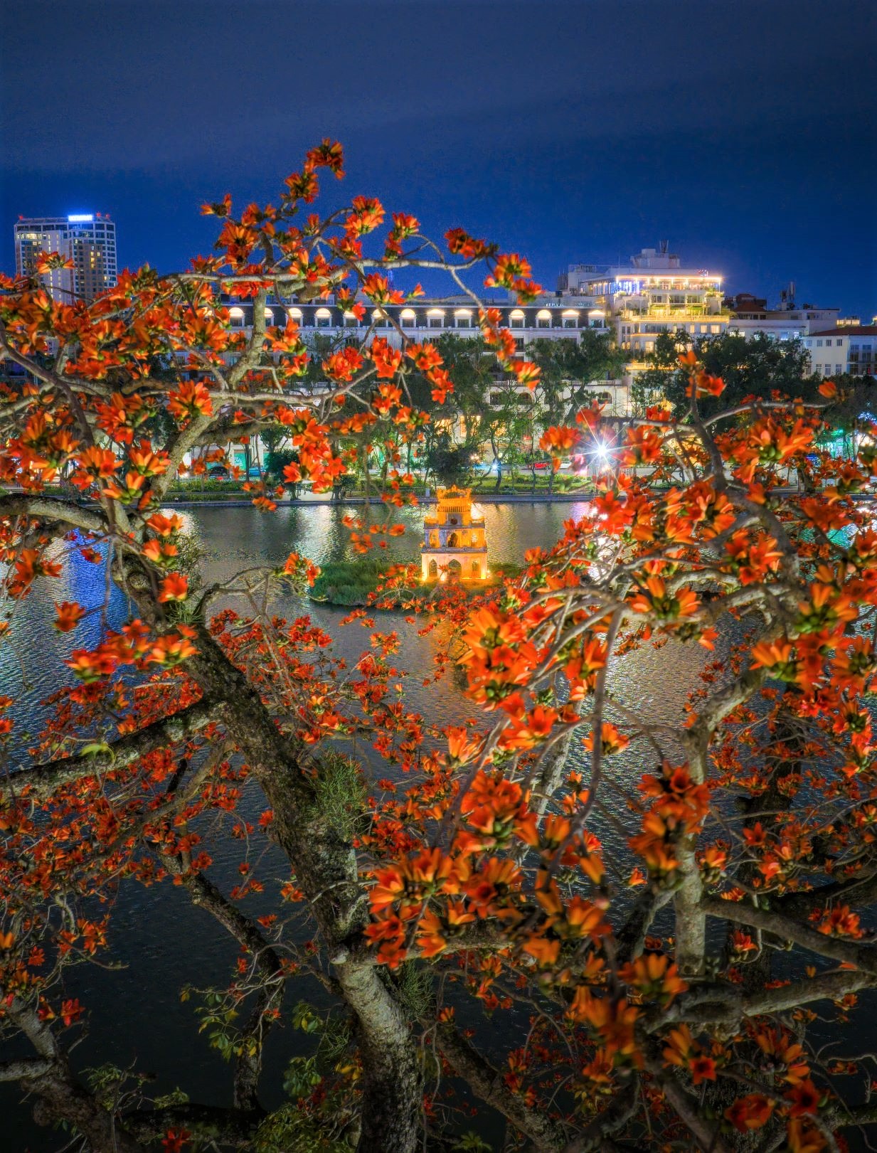 Hồ Gươm, trái tim thủ đô Hà Nội, lung linh về đêm không chỉ bởi ánh đèn mà còn nhờ vẻ đẹp cây gạo cổ thụ bung nở rực rỡ. Thời tiết tháng 3 tại Hà Nội đang rất đẹp, khô ráo thuận lợi để ngắm hoa nở, chụp ảnh, dạo bộ...
