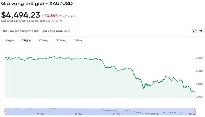 Diễn biến giá vàng thế giới trong 24h qua. bieudogiavang233.jpg