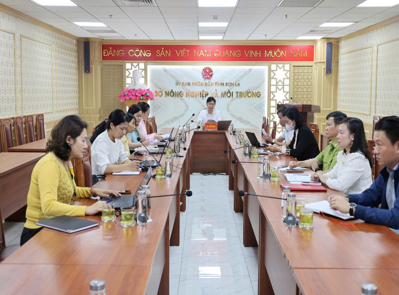 Phỏng vấn sâu trong khuôn khổ dự án Chỉ số năng lực cạnh tranh cấp Sở tại Sở Nông nghiệp và Môi trường.