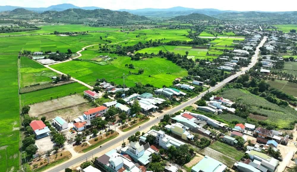 Cánh đồng lúa ở xã Chư A Thai. Ảnh: Mai Chi