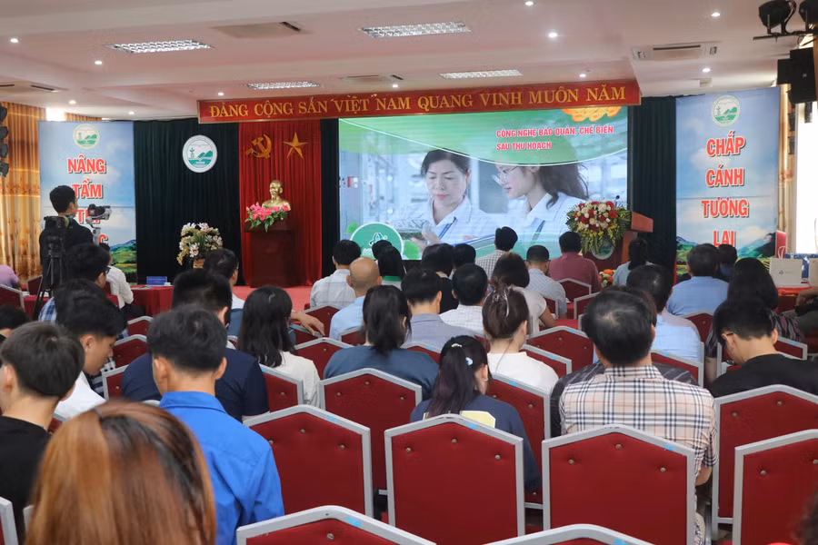 Các dự án vượt qua vòng sơ tuyển sẽ được tham gia nhiều khóa đào tạo chuyên sâu về kỹ năng khởi nghiệp, xây dựng kế hoạch kinh doanh, sở hữu trí tuệ... 12.jpg