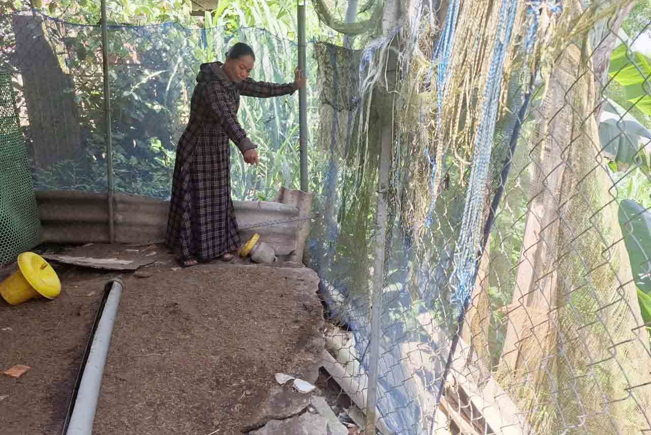 Sạt lở tiến sát khu vực chăn nuôi của gia đình bà Tuyết. Ảnh: Trần Tuấn