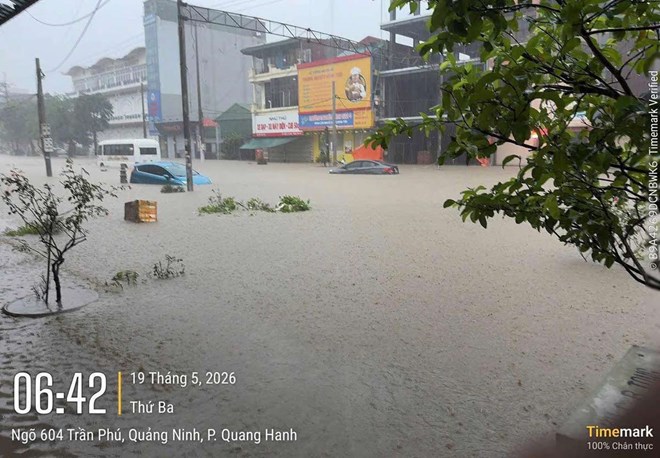 Ngập lụt cục bộ, nhiều ôtô chôn bánh trên đường tại Quảng Ninh