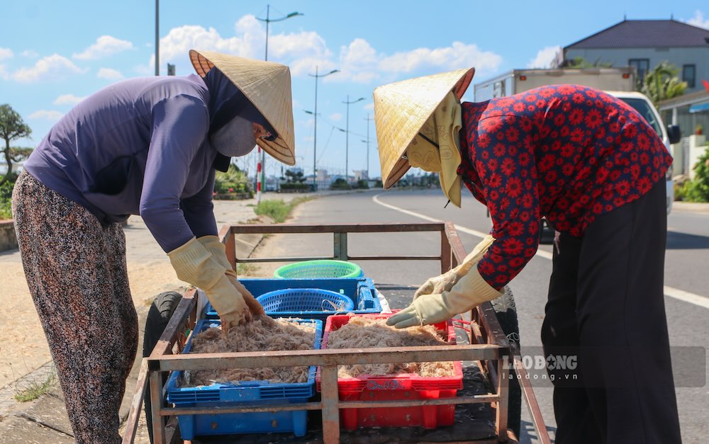 Những mẻ ruốc tơi liên tục được đưa về phơi khô, người dân phải làm việc hết công suất. Ảnh: Nguyễn Luân