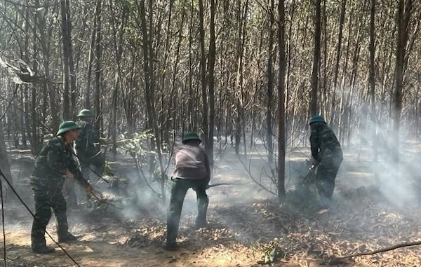 Nắng nóng, Quảng Trị liên tiếp xảy ra cháy rừng trồng