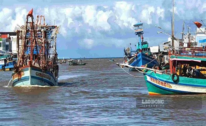 Nhiều cửa biển ở Cà Mau bồi lắng, tàu cá khó ra khơi