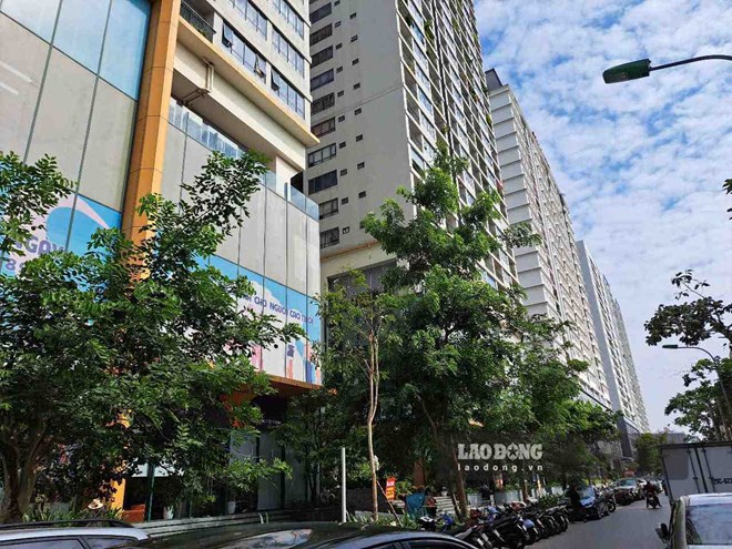 Giá chung cư diễn biến trái chiều, nguồn cung tăng, sức mua giảm